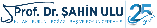 Prof. Dr. Şahin Ulu Logo